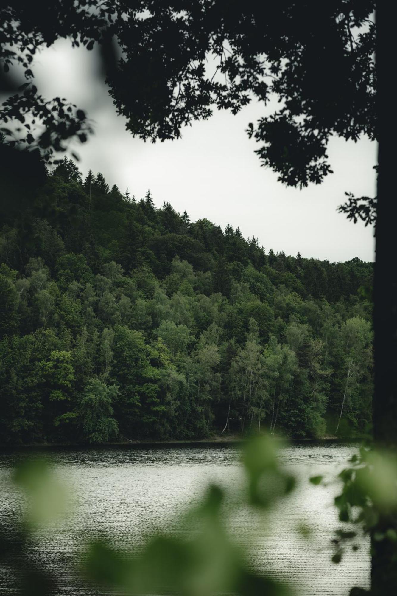 Biorezydencja Świeradów-Zdrój Kültér fotó